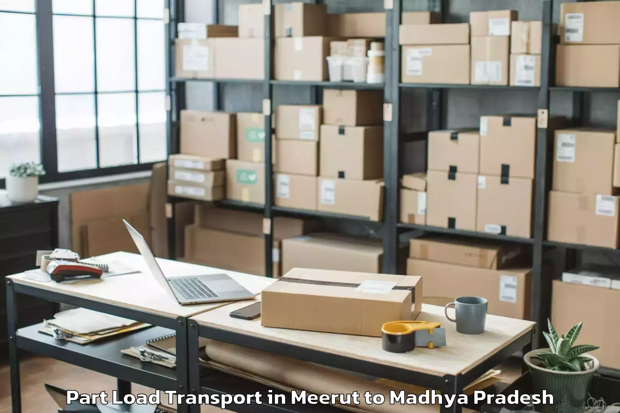 Book Meerut to Manpur Part Load Transport